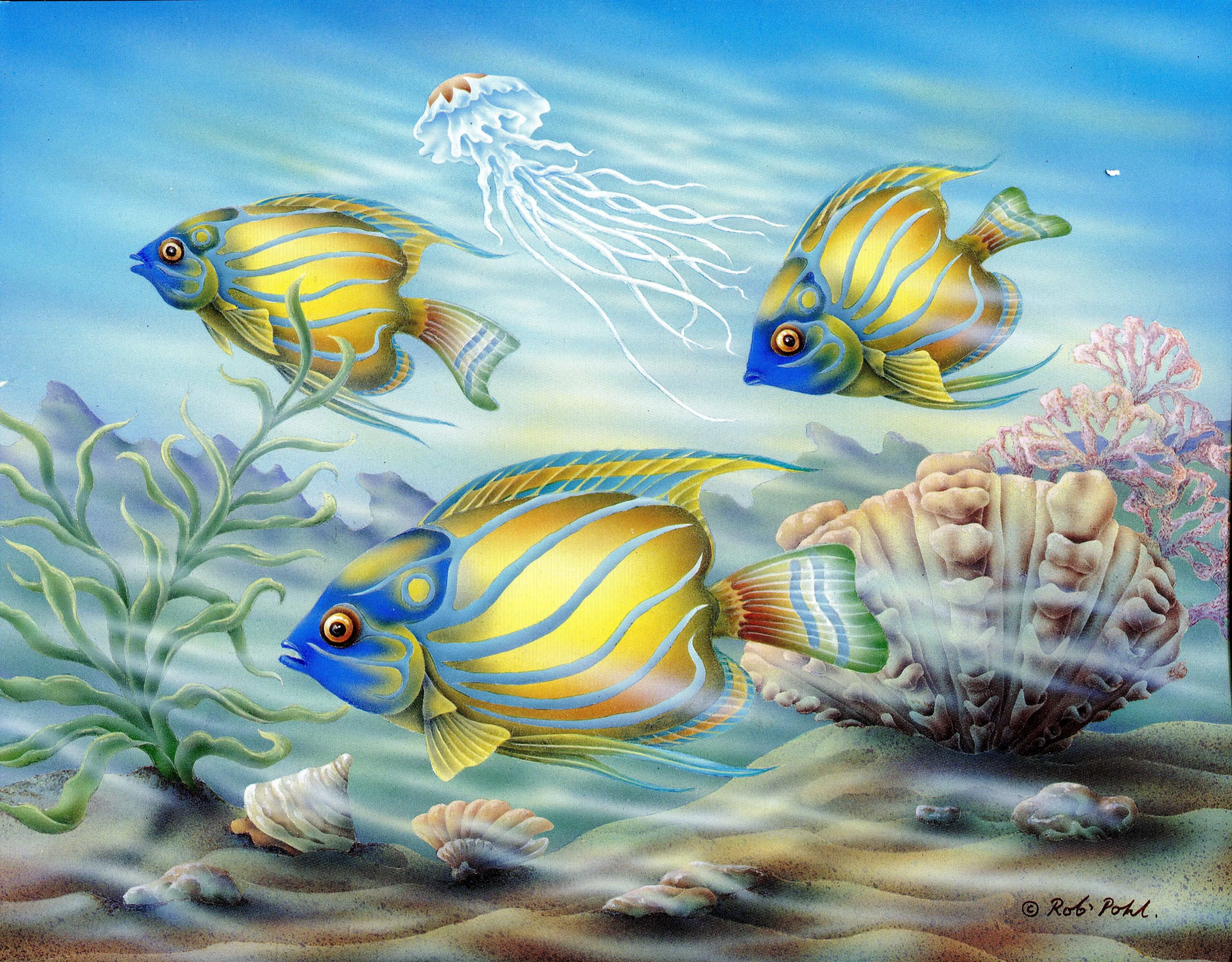 Angel Fish