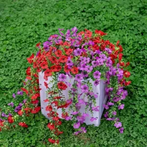 Bulk 2pcs Artificial Hanging Flowers Plants UV Resistant for Outdoor Fall Decoration Wholesale Bulk 2pcs Artificial Hanging Flowers Plants UV Resistant for Outdoor Fall Decoration Wholesale