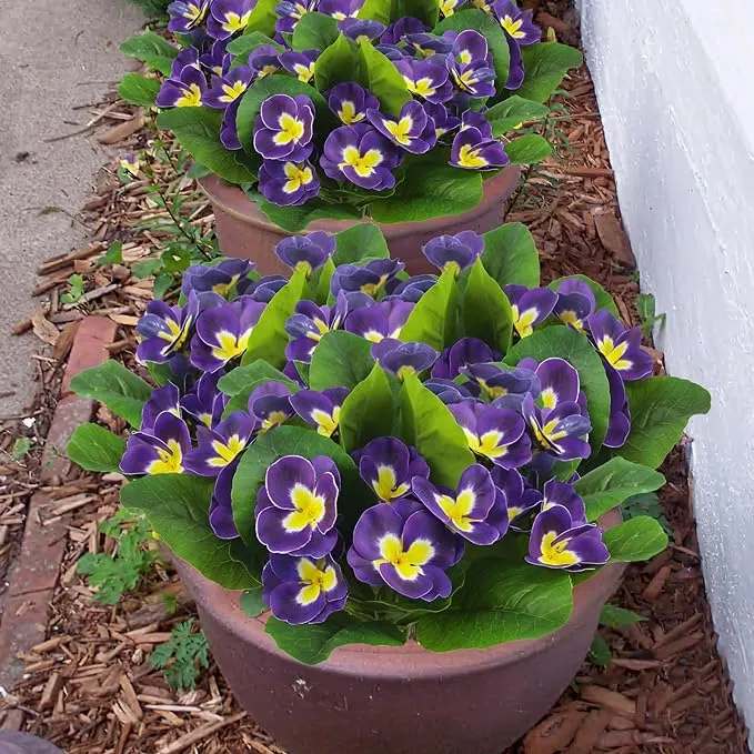 Bulk 9.8" 5Pcs Artificial Pansy Flowers for Outdoors UV Resistant Plants Wholesale