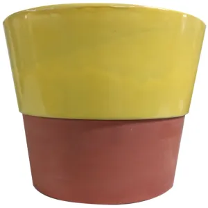 Glazed Terra Cotta Fern / Azalea Pot Sprout 8.25in