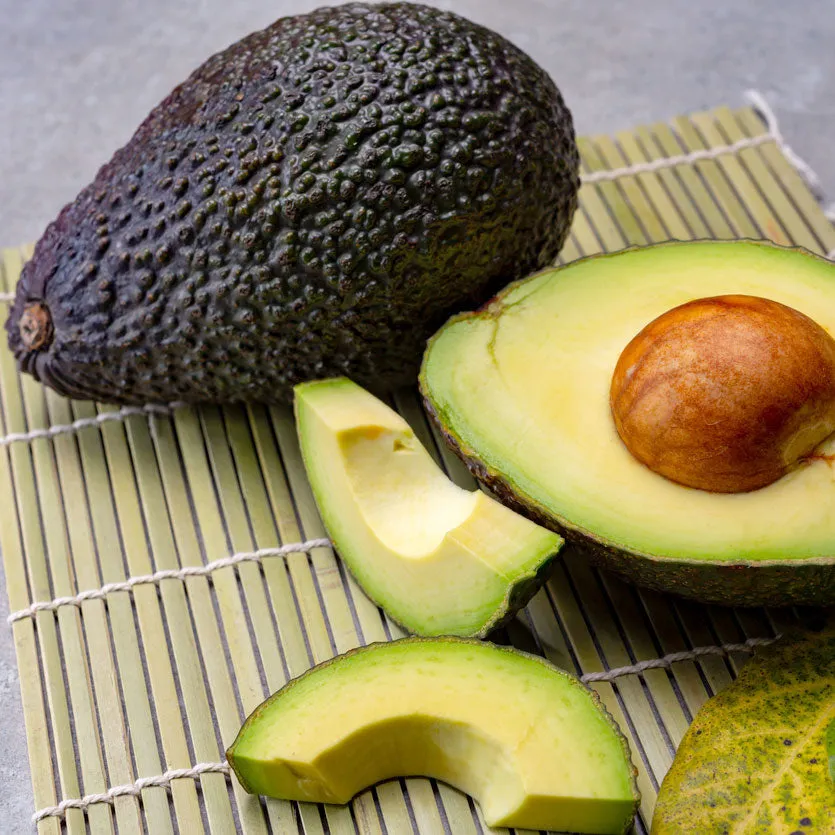 Hass Avocado Tree