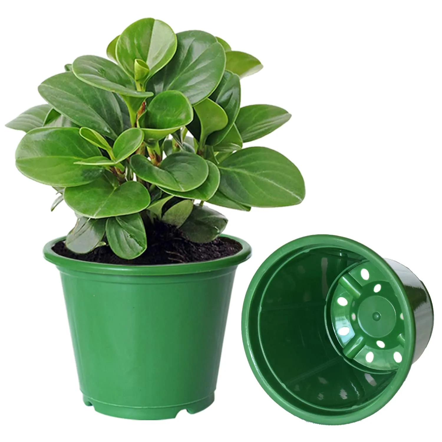 Heart Home Plastic Planters|Gamla|Flower Pots for Garden Nursery Home Décor,8"x6",Pack of 3 (Blue,Orange,Green)