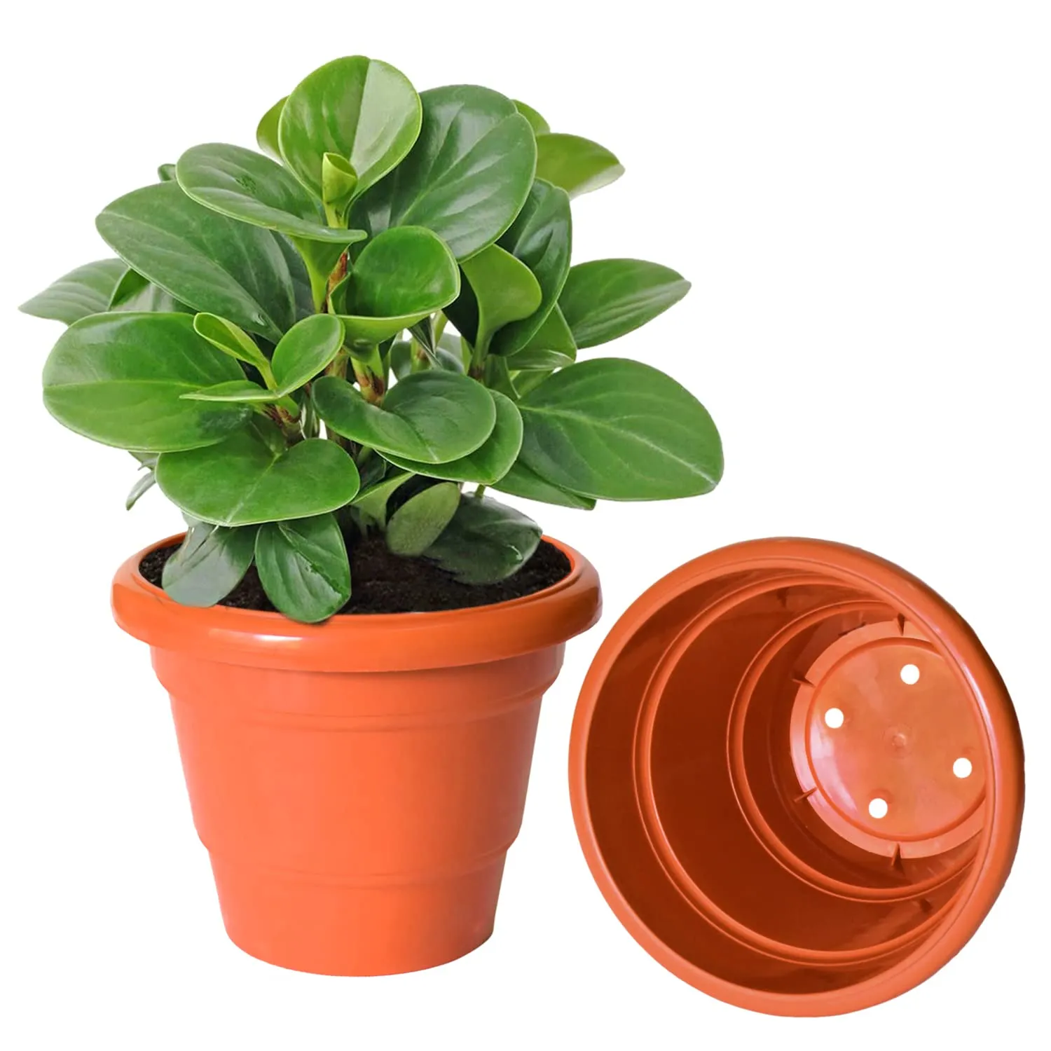 Kuber Industries Solid 2 Layered Plastic Flower Pot|Gamla for Home Decor,Nursery,Balcony,Garden,6"x5",Pack of 5 (Orange)