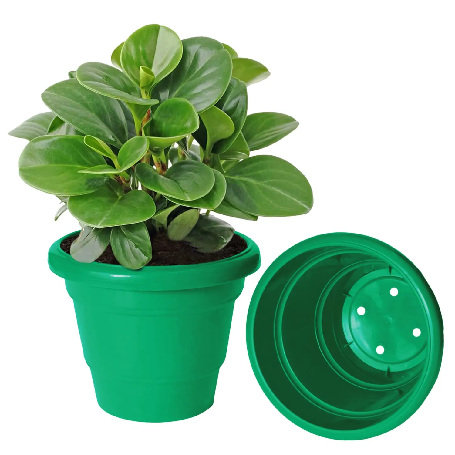 Kuber Industries Solid 2 Layered Plastic Flower Pot|Gamla for Home Decor,Nursery,Balcony,Garden,6"x5",Pack of 8 (Green)