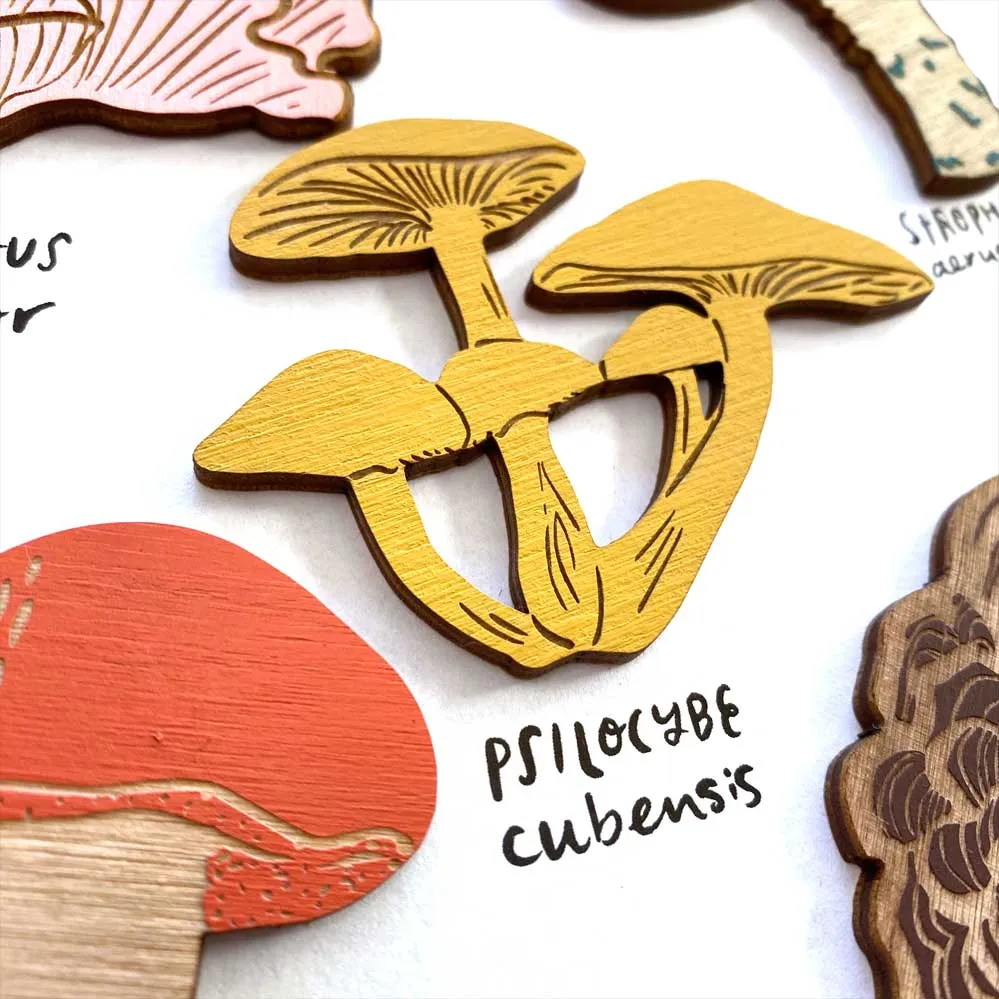 Mushroom Magnets Set