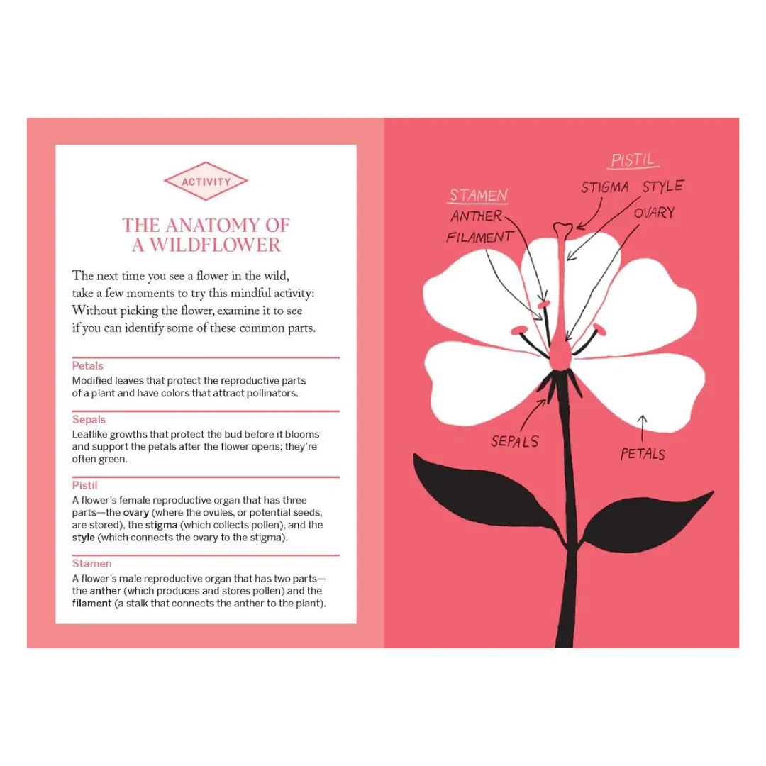 Pocket Nature: Flower Finding Book