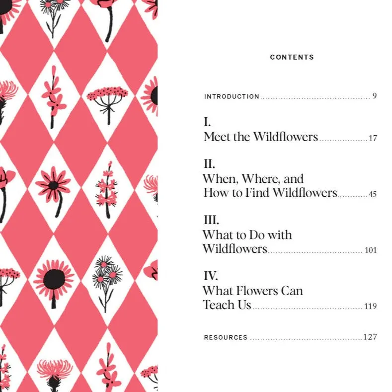 Pocket Nature: Flower Finding Book