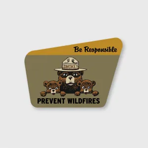 Smokey Bear Be Responsible Sticker