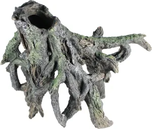 Sunken Driftwood Roots