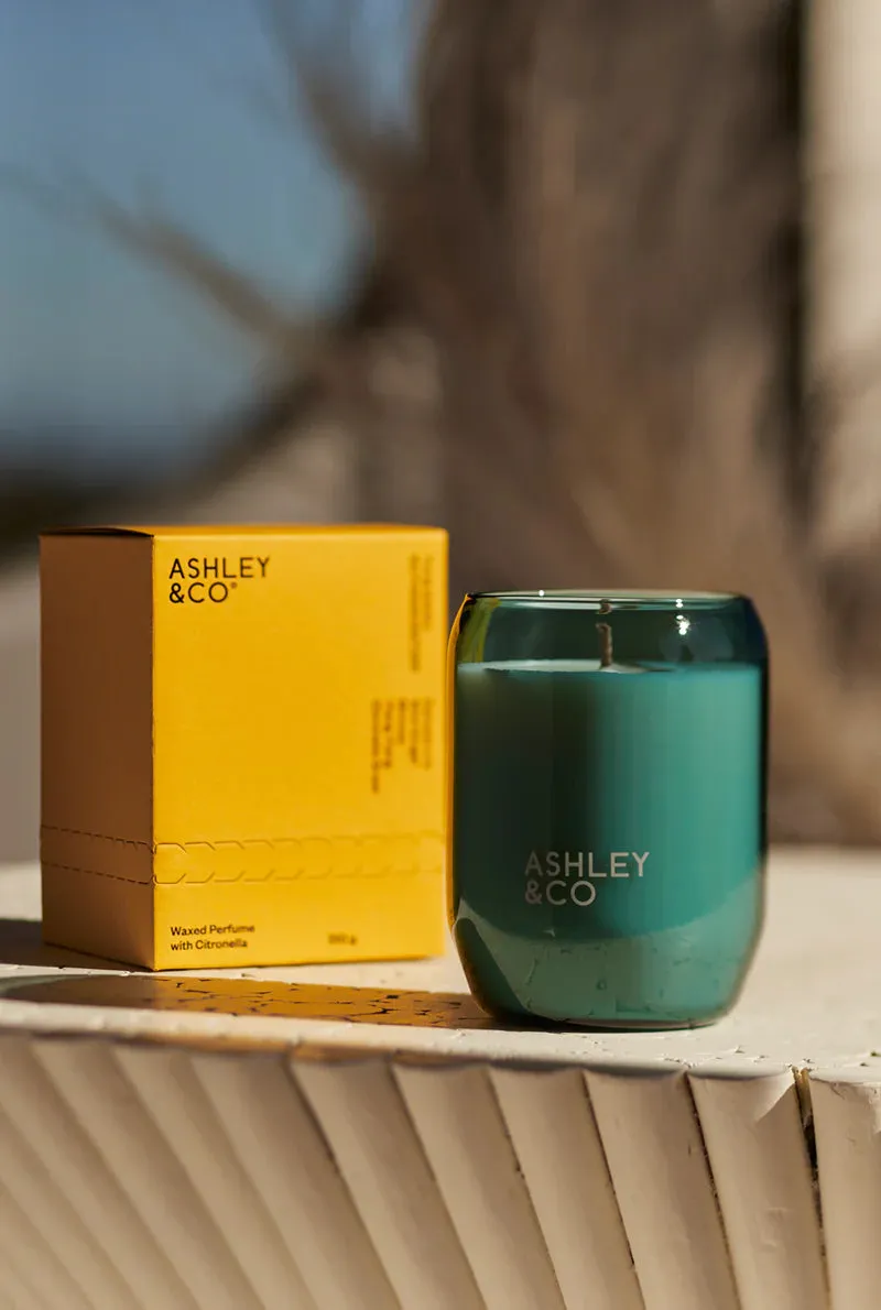 Waxed Perfume | Outdoor Edition | Citronella   Tui & Kahili